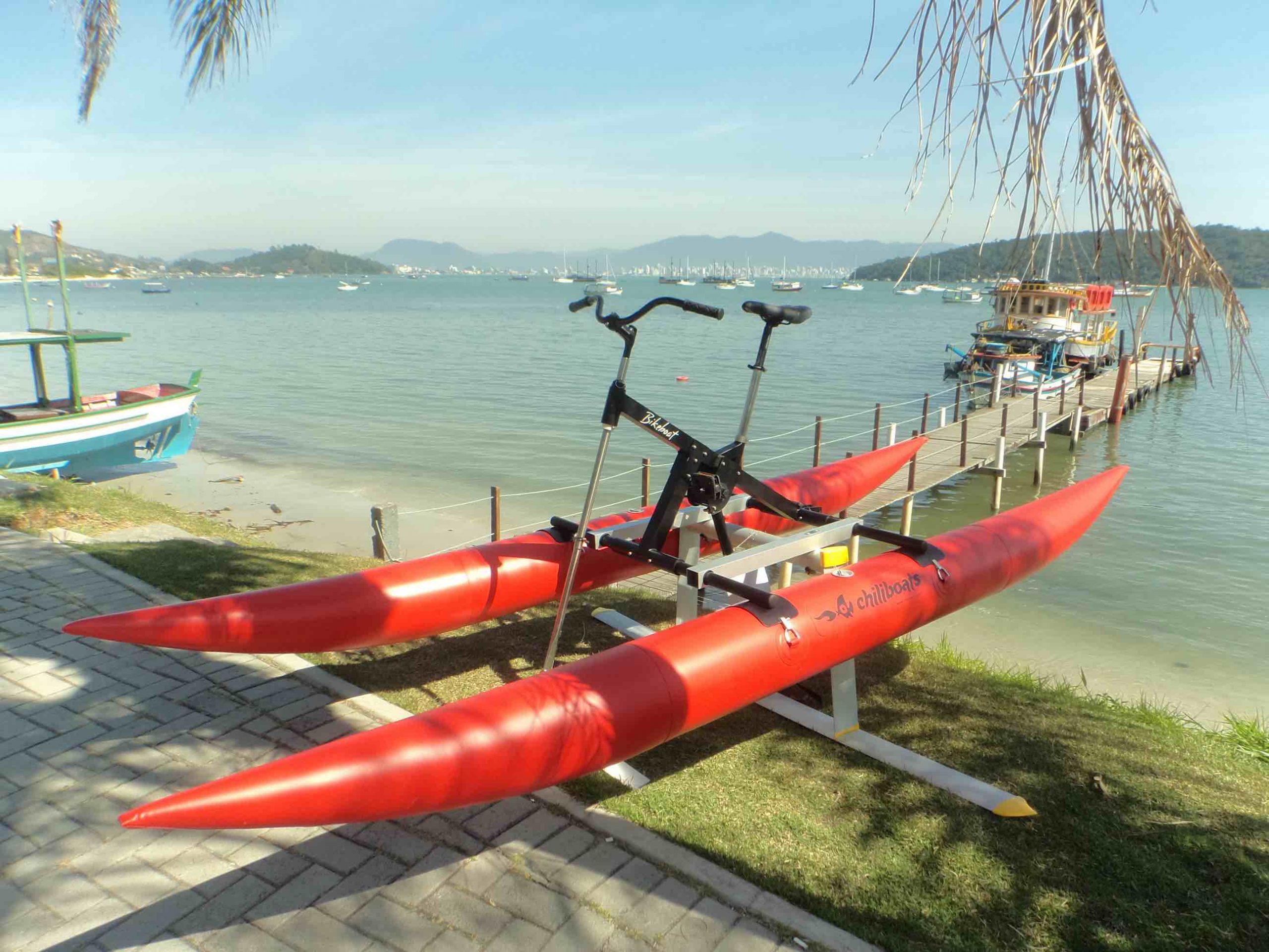 Picture of Water Bike with Hydrofoil